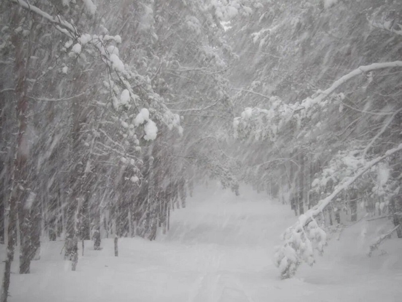 В Алтайском крае с 5 по 7 декабря ожидаются снег, гололедные явления, метели.